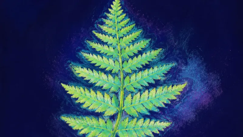 The Unfurling Voice An unfurled fern frond in balanced order, representing honest communication, self-trust, and a clear