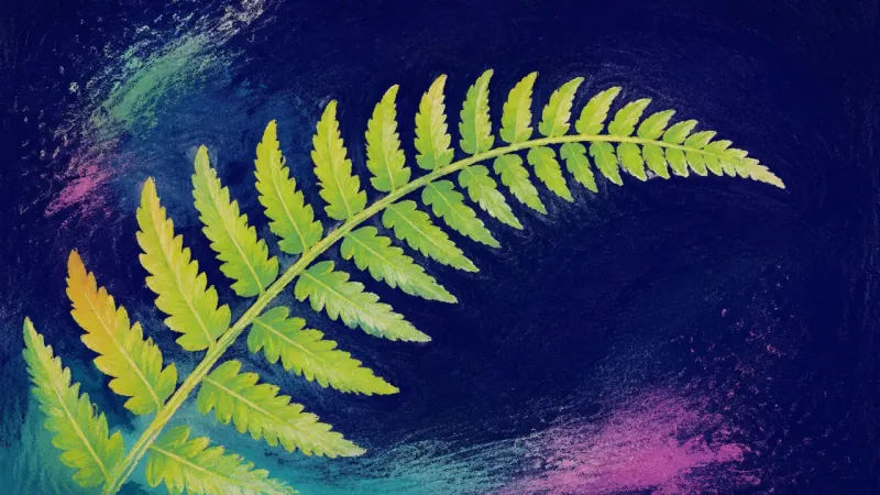An unfurled fern frond in balanced order, representing values-led choice, independent action, andtri