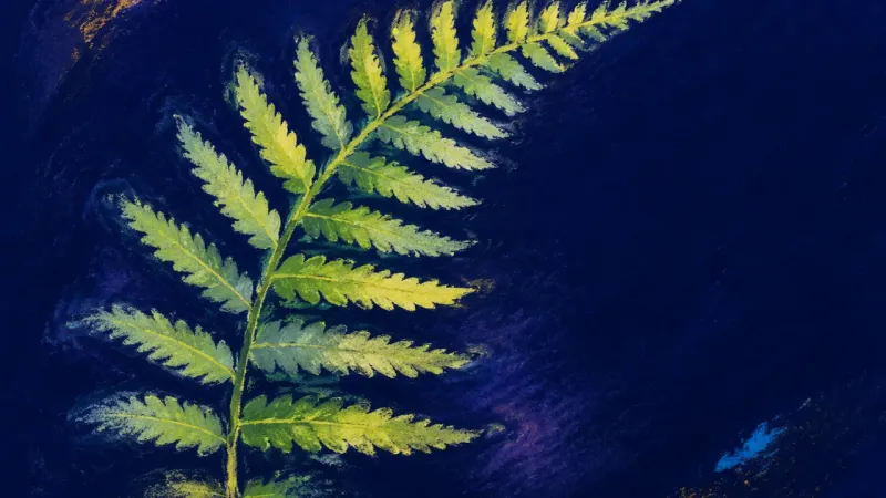 Rhythm Restored An unfurled fern in balanced order, representing a study habit rebuilt through flexible practice and