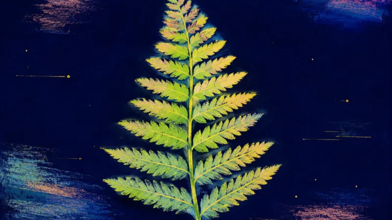 Order, Unfurled A fully unfurled fern frond with balanced leaflets, representing a career decision restored to own