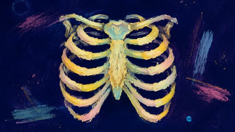 A restored rib cage with calm, balanced arcs, representing release from idealizing emotionally unav