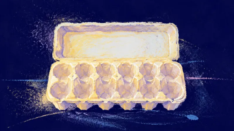 Restored Compartments An egg carton restored into separate compartments, representing a student replacing backlog dread 
