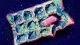 A crushed chewing-gum blister card with one piece trapped, symbolizing the strain of accepting more