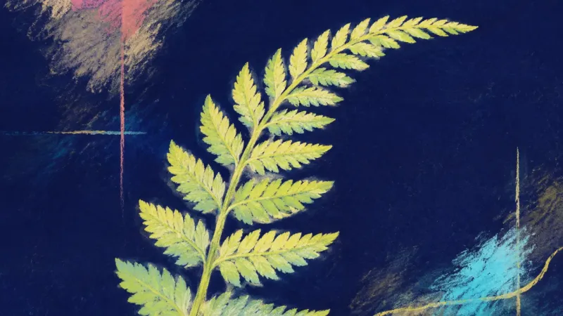 Permission Unfurls An unfurled fern frond in balanced order, representing gratitude and ambition coexisting through low