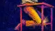 Adult knees jam against a child-sized dining table, symbolizing family belonging that demands a