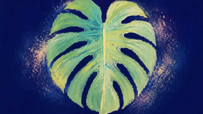 Evidence Unfurled A fully unfurled monstera leaf with orderly openings represents study anxiety resolved through-hon-