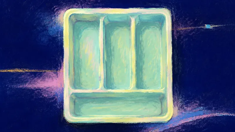 A restored cutlery tray with clear compartments represents a bounded roommate choice, balanced yet w