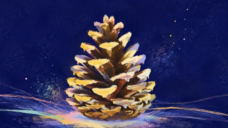 An open, orderly pinecone represents guilt-free rest, measured choice, and restored ownership ofgr