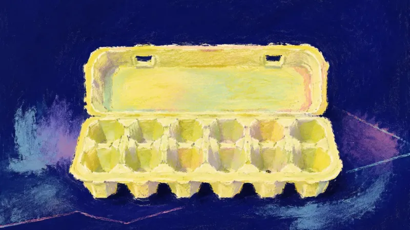 Open Possibility An orderly egg carton representing a nonlinear career path reclaimed as useful evidence, balanced0d8