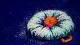 A meditation cushion collapsed into a body-shaped hollow, symbolising wellness rituals used to keep