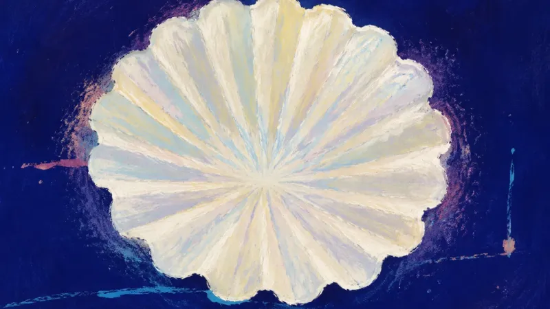 Filter in Balance An open, evenly ordered coffee filter represents workplace attraction held with clear boundaries,jud