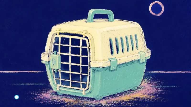 A restored pet carrier symbolizing practical readiness, balanced care, and calm ownership of an||||s
