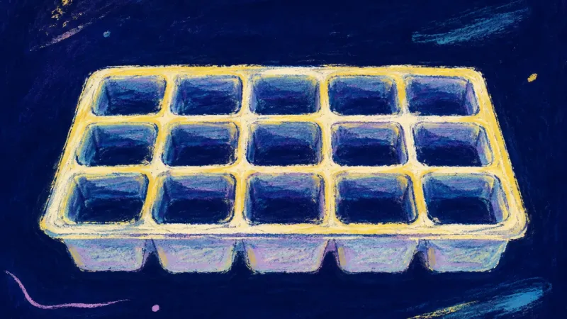 Steady Cultivation A restored seed tray symbolizing patient creative development, with orderly compartments replacing##