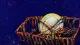 The Deferred Life A dishwasher rack crushed around one plate, symbolizing how ordinary workweeks leave no energy for a