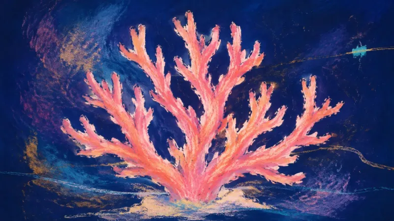 Separate Threads An orderly coral form represents separating one breakup from the distinct friendships that can be—