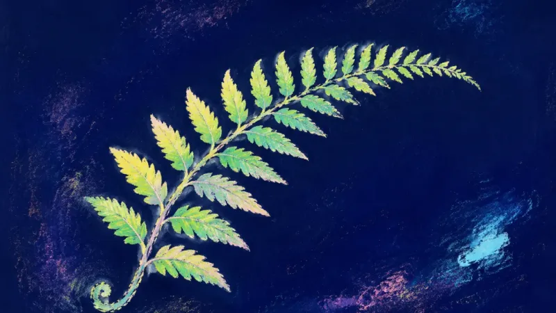 A Steadier Unfurling An unfurled fern frond with evenly spaced leaflets, representing a paced return to school grounded