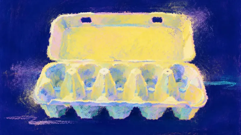 An egg carton with orderly compartments, representing trust that remains private while personal rest