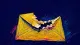 A torn envelope symbolizing hesitation about contacting a possible relative and fear of emotionalex