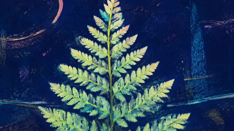 Unfurled Fronds An unfurled fern represents measured clarity after a family email is separated from old argumentsာnd