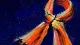 A tightly knotted scarf symbolizes editing personal style to avoid rejection and losing sight of an-