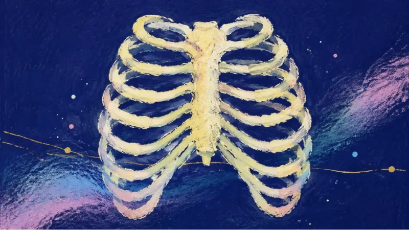 A restored, evenly spaced ribcage represents anxious attachment resolving into paced trust, balanced
