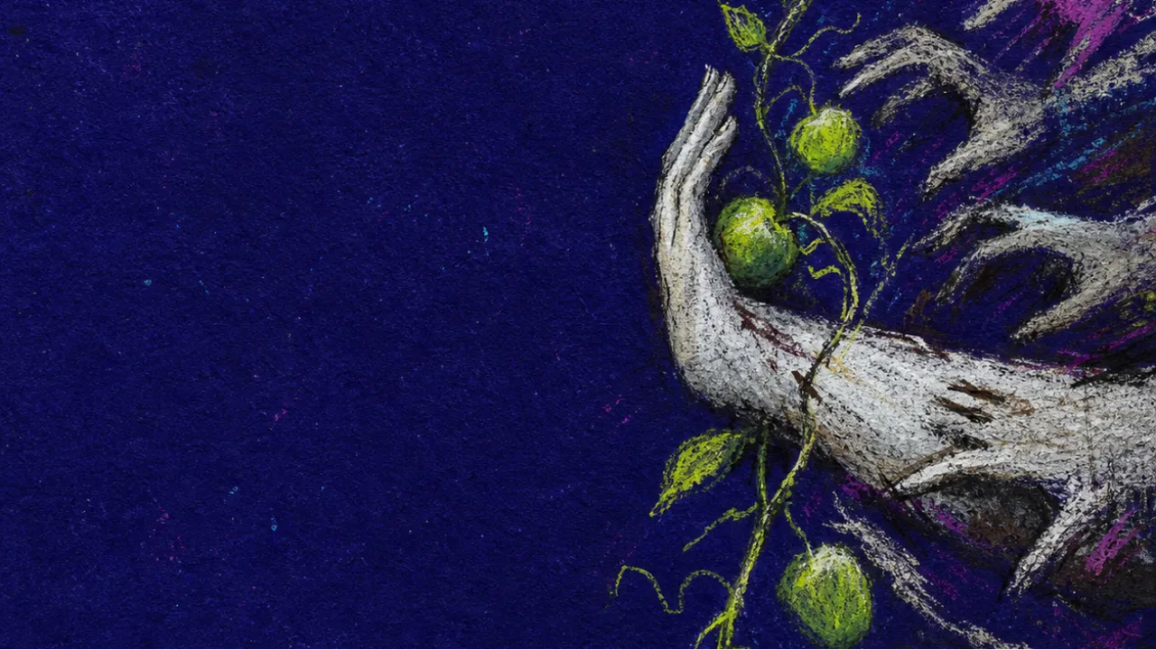 Forced before it ripens A solitary figure shields a living vine with one forearm as reaching hands press past skin toward green fruit
