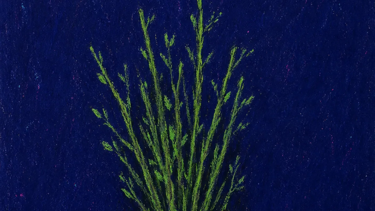 A figure grips a tall bundle of green branches in an open field, body mostly hidden by the load against graphite shadow